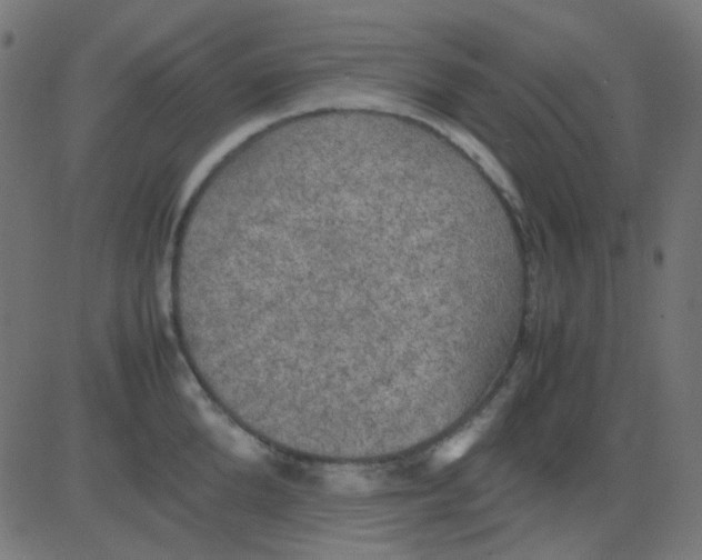 X0000081310904200702012331