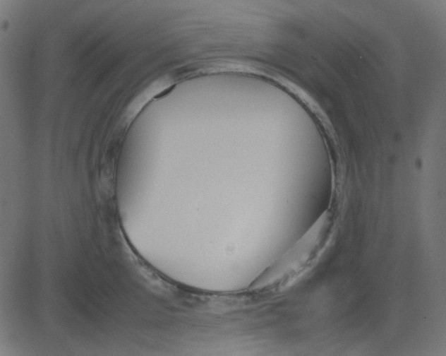 X0000081310905200702012331