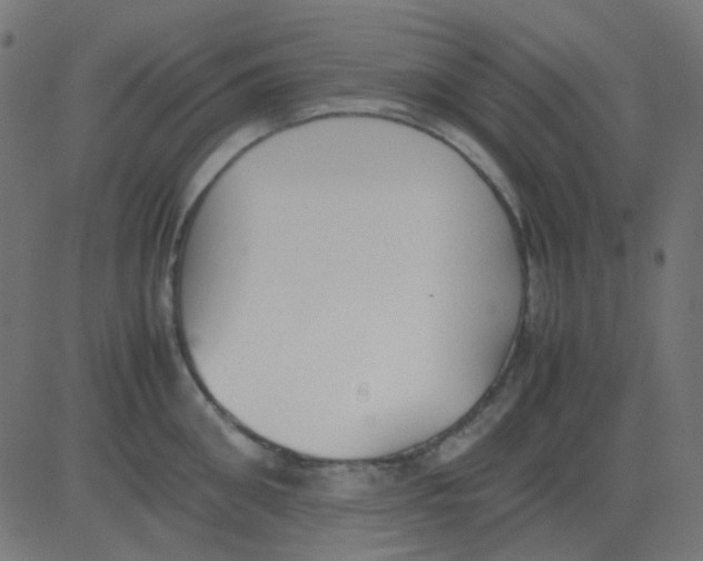 X0000081310906200702012331