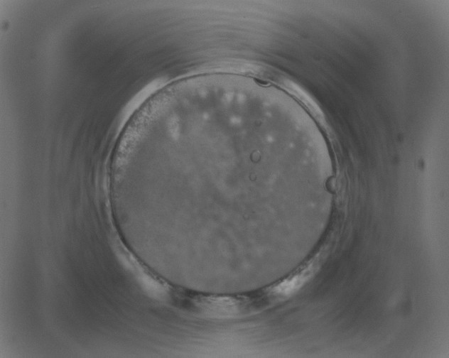 X0000081310907200702012331