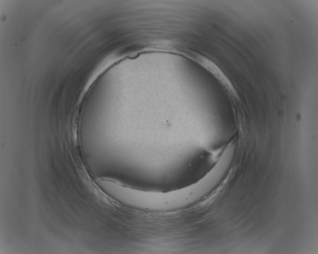 X0000081310908200702012331