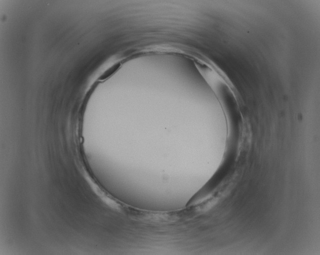 X0000081310909200702012331