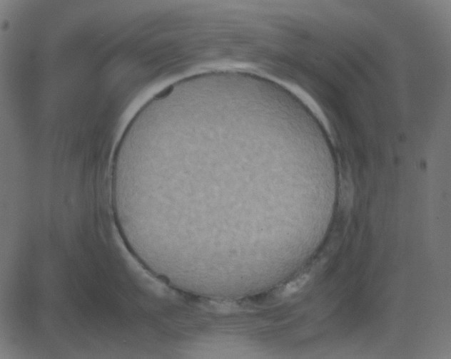 X0000081310911200702012331