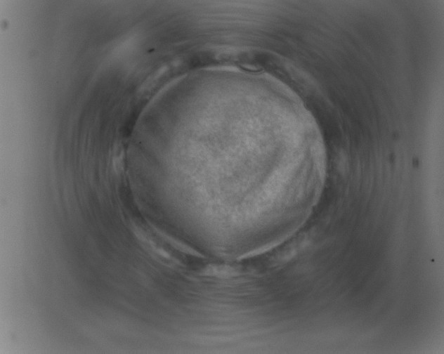 X0000081310914200702012330