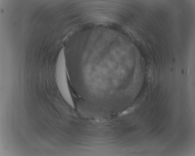 X0000081310916200702012330