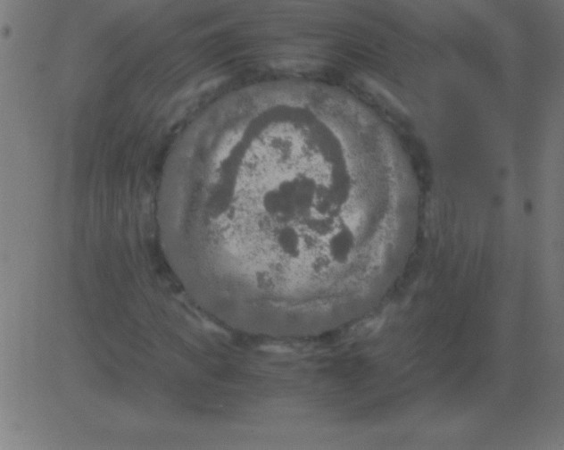 X0000081310917200702012330