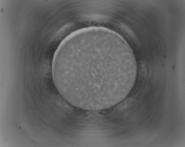 X0000081310918200702012330