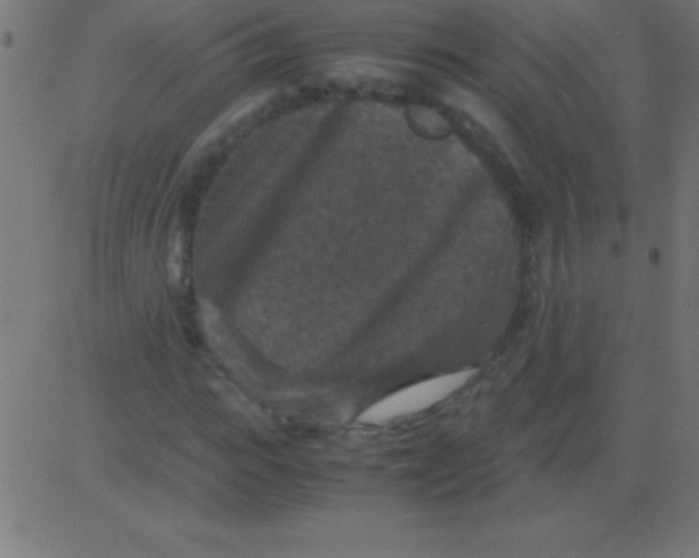 X0000081310919200702012330