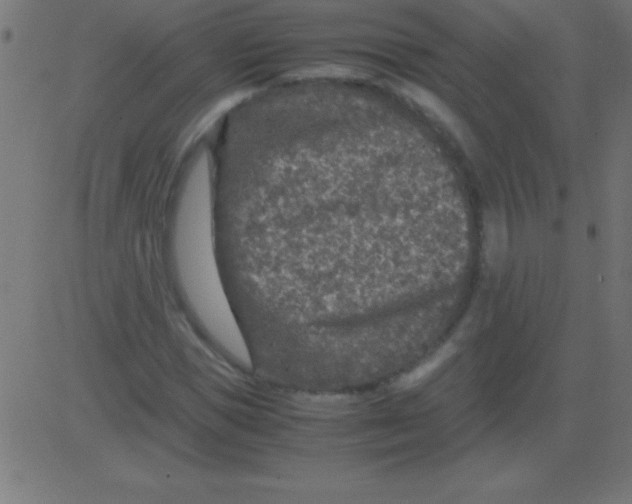 X0000081310921200702012330