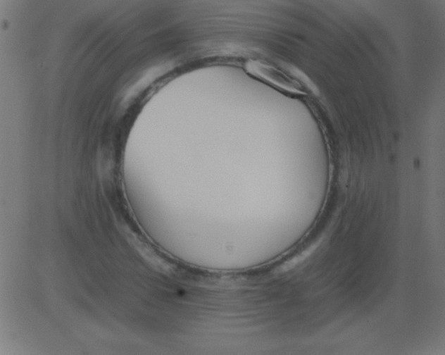 X0000081310922200702012330