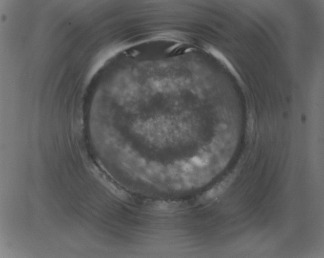 X0000081310923200702012330