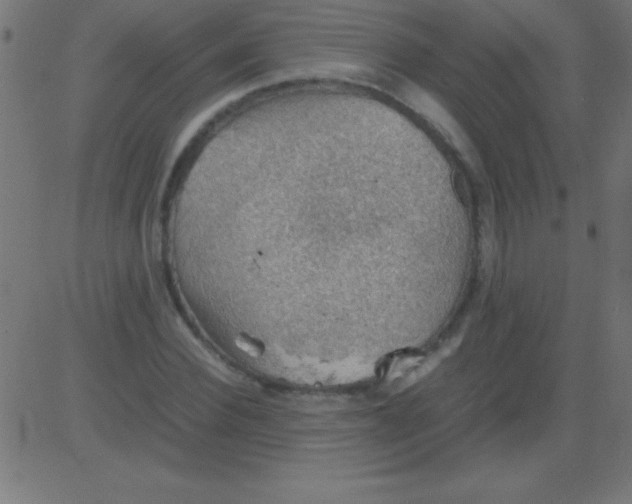 X0000081310924200702012330