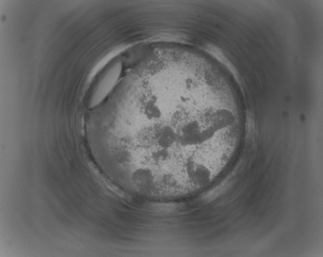 X0000081310925200702012330