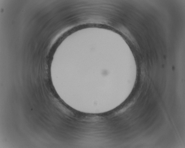 X0000081310926200702012330