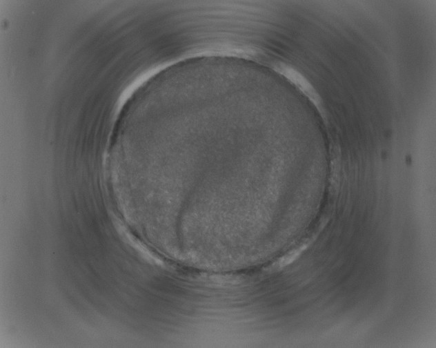 X0000081310928200702012330