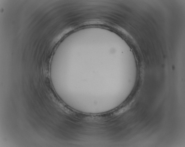 X0000081310929200702012330