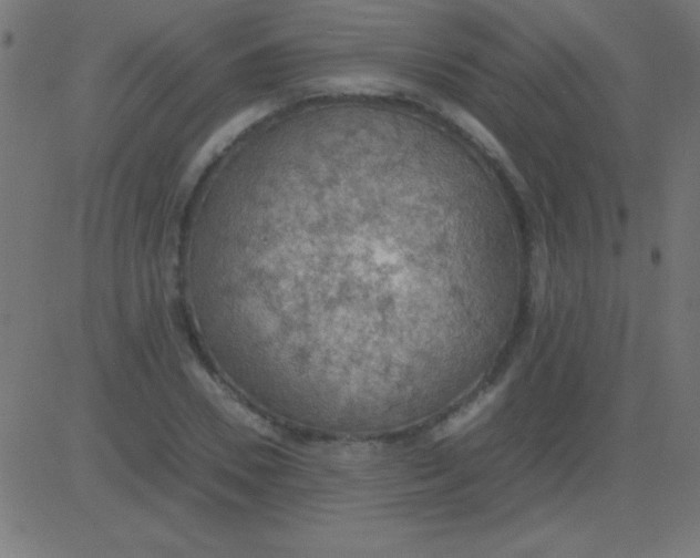 X0000081310930200702012330