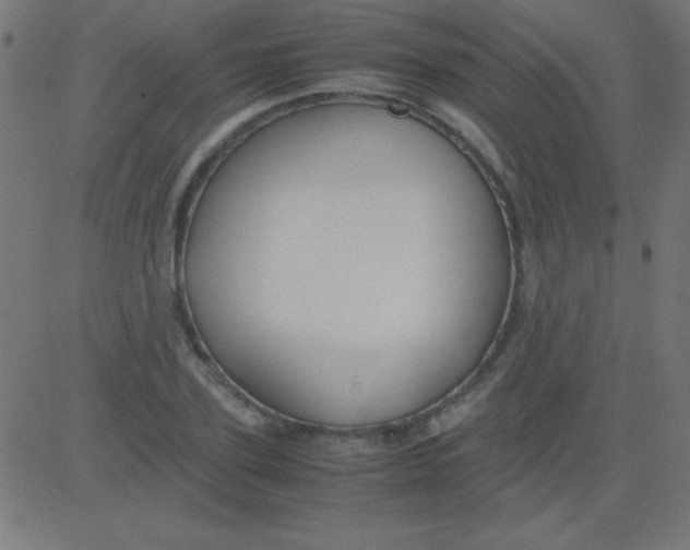 X0000081310931200702012331