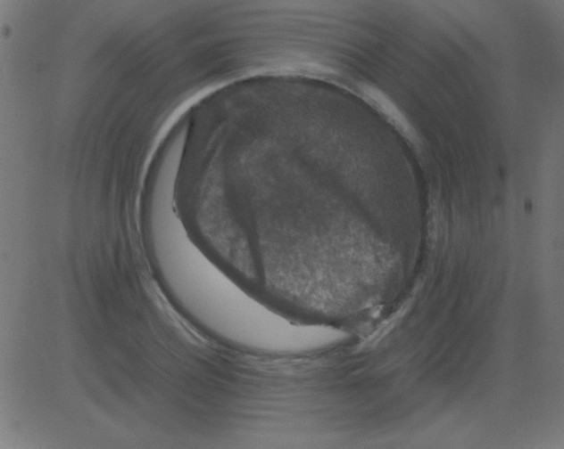 X0000081310932200702012331