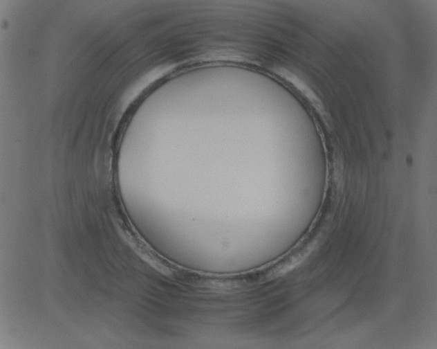 X0000081310933200702012331