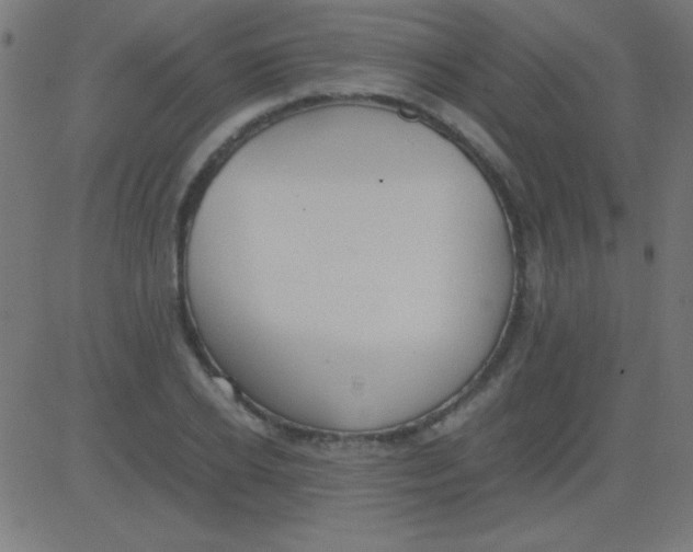 X0000081310934200702012331