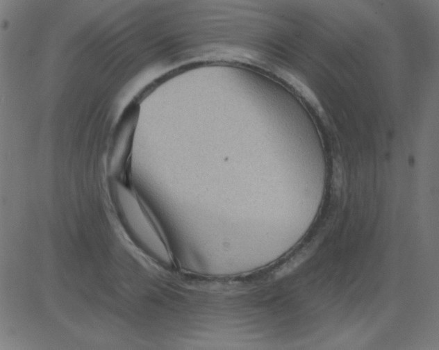 X0000081310936200702012331