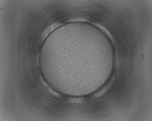 X0000081310937200702012331