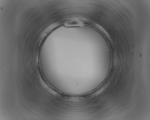 X0000081310938200702012331