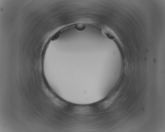 X0000081310939200702012331