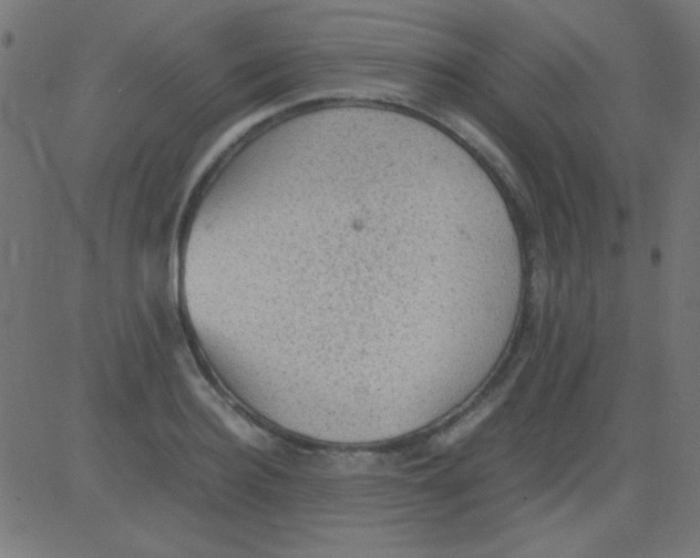 X0000081310940200702012331