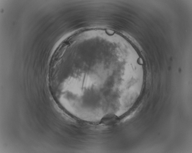 X0000081310941200702012331