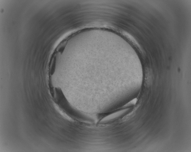 X0000081310942200702012331