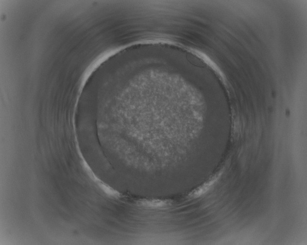 X0000081310943200702012331