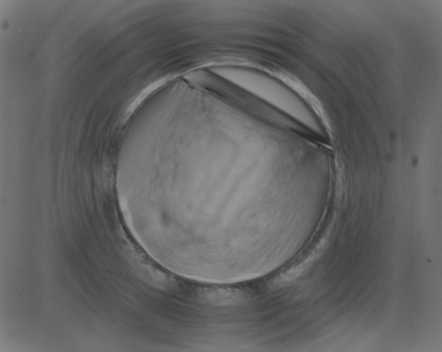 X0000081310945200702012331