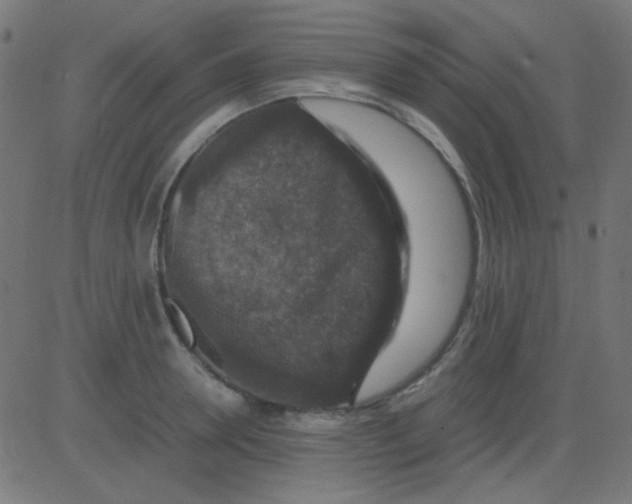 X0000081310946200702012331