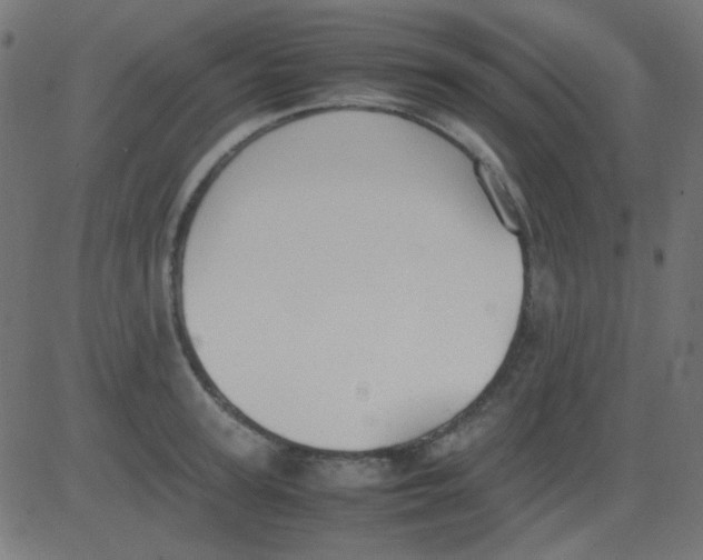 X0000081310947200702012331