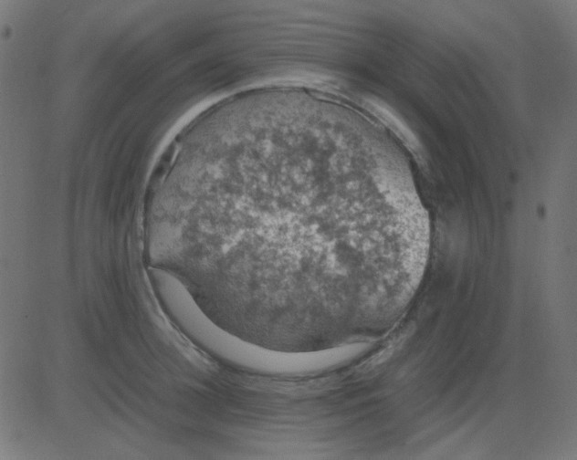 X0000081310948200702012331