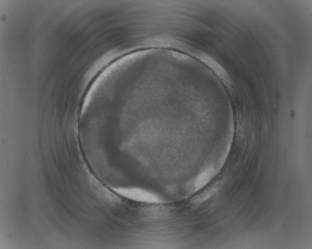 X0000081310950200702012331