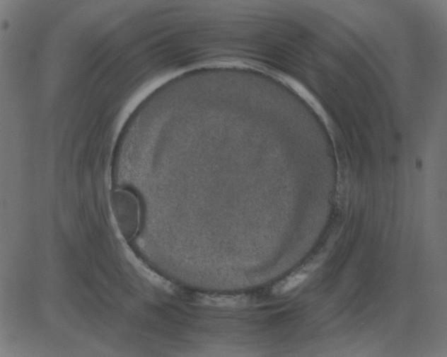 X0000081310951200702012331