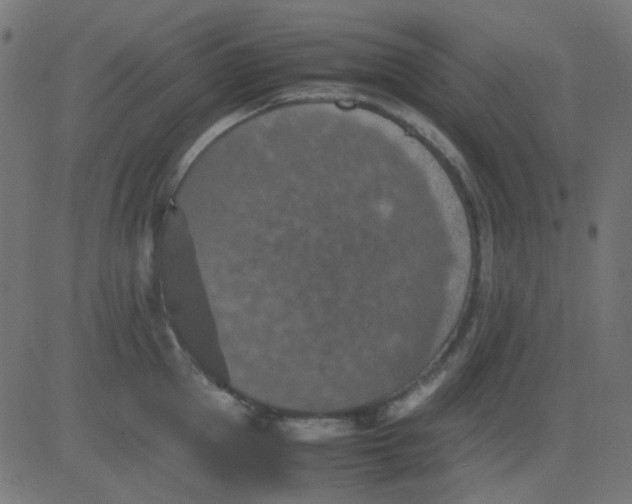 X0000081310953200702012331