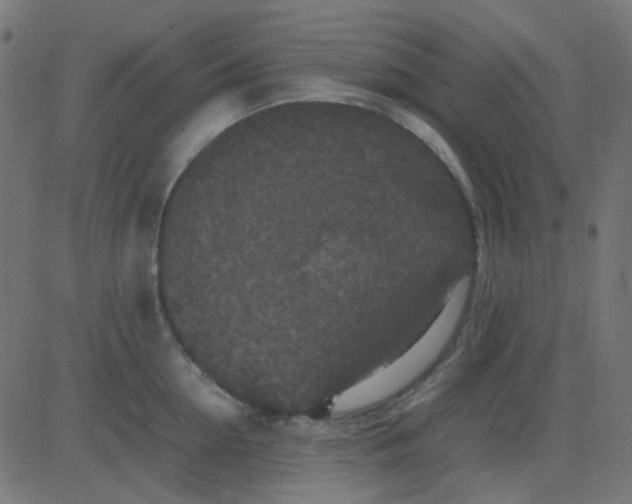 X0000081310954200702012331