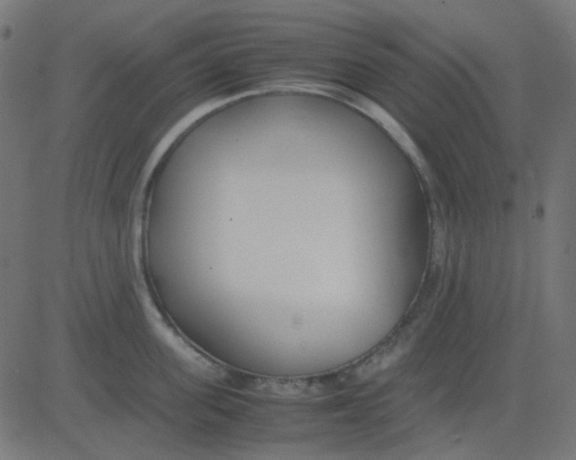 X0000081310955200702012331