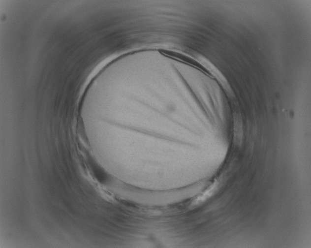 X0000081310956200702012331