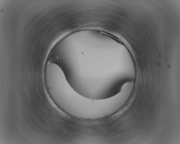 X0000081310957200702012331