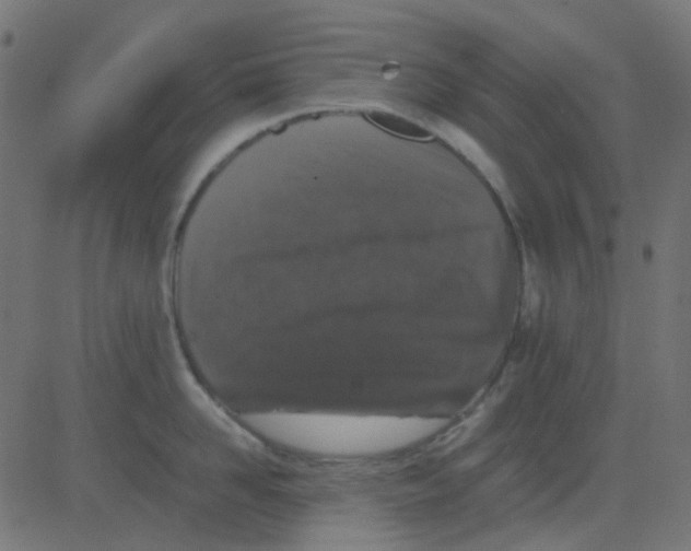 X0000081310958200702012331