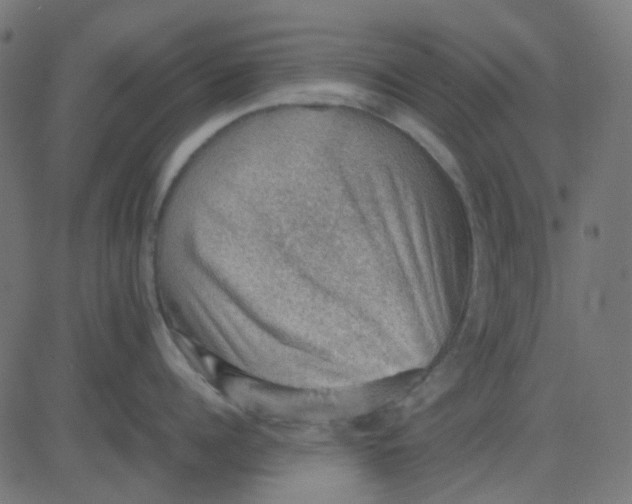 X0000081310960200702012331