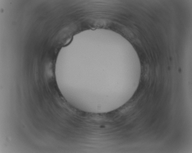 X0000081310962200702012330