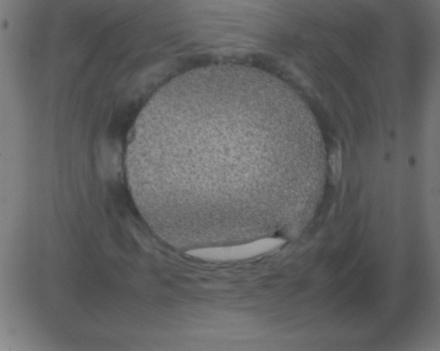 X0000081310963200702012330