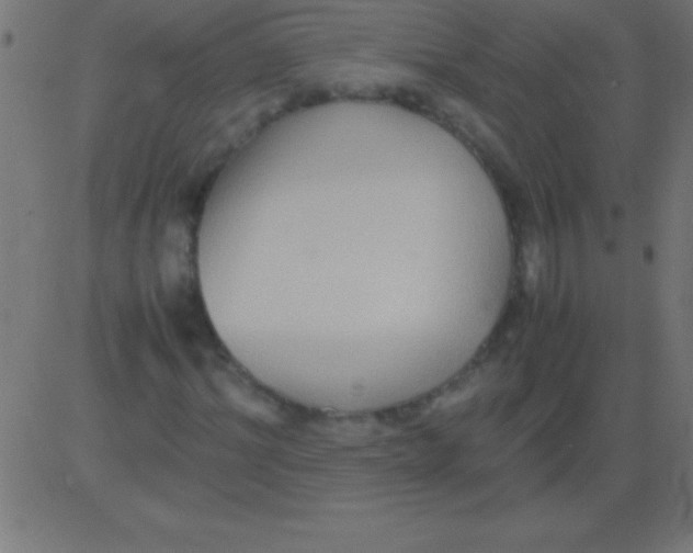 X0000081310964200702012330