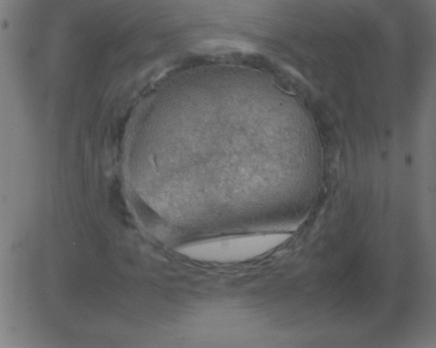 X0000081310965200702012330